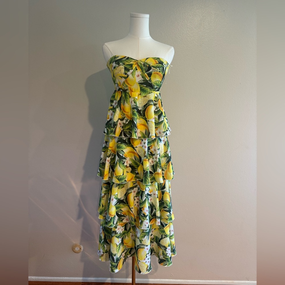 Show Me Your MuMu Savannah Ruffle Dress